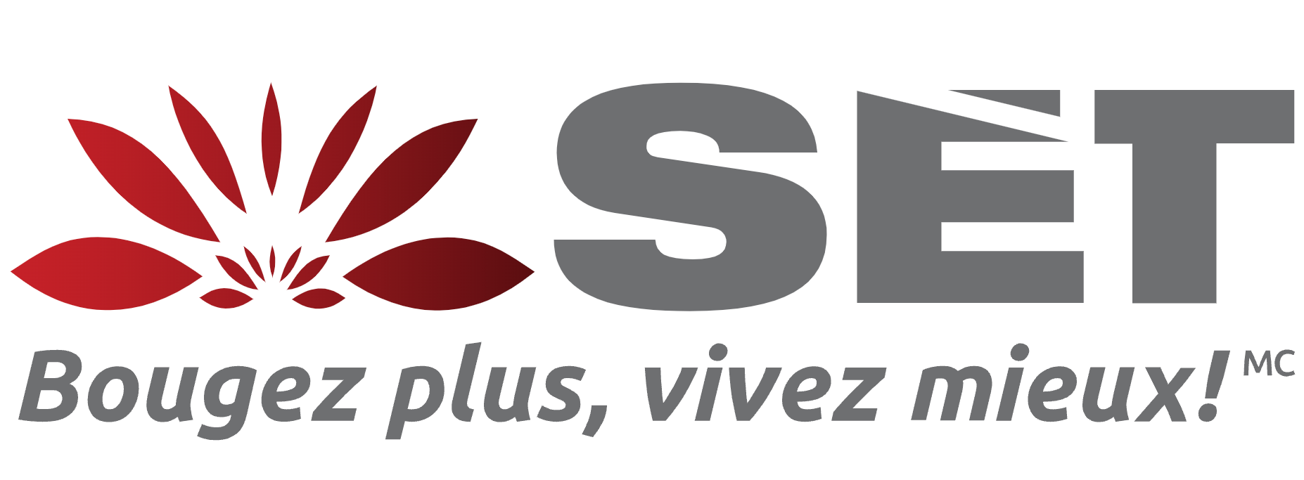 SET Service Electro Thérapie