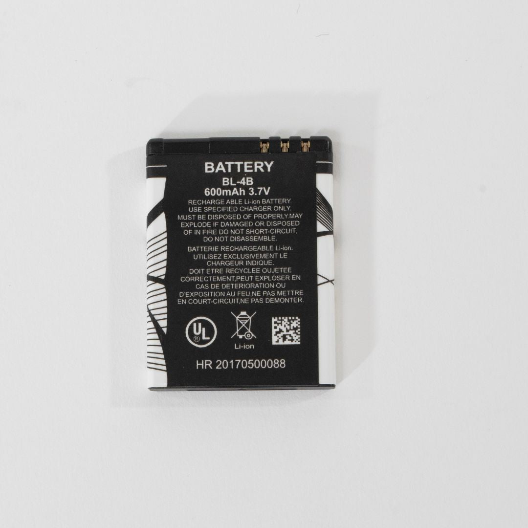 Batterie Rechargeable Lithium-Ion